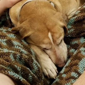 Meet your Posher, Cody